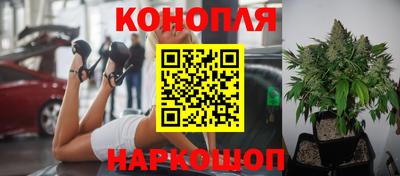 дмт Гусь-Хрустальный