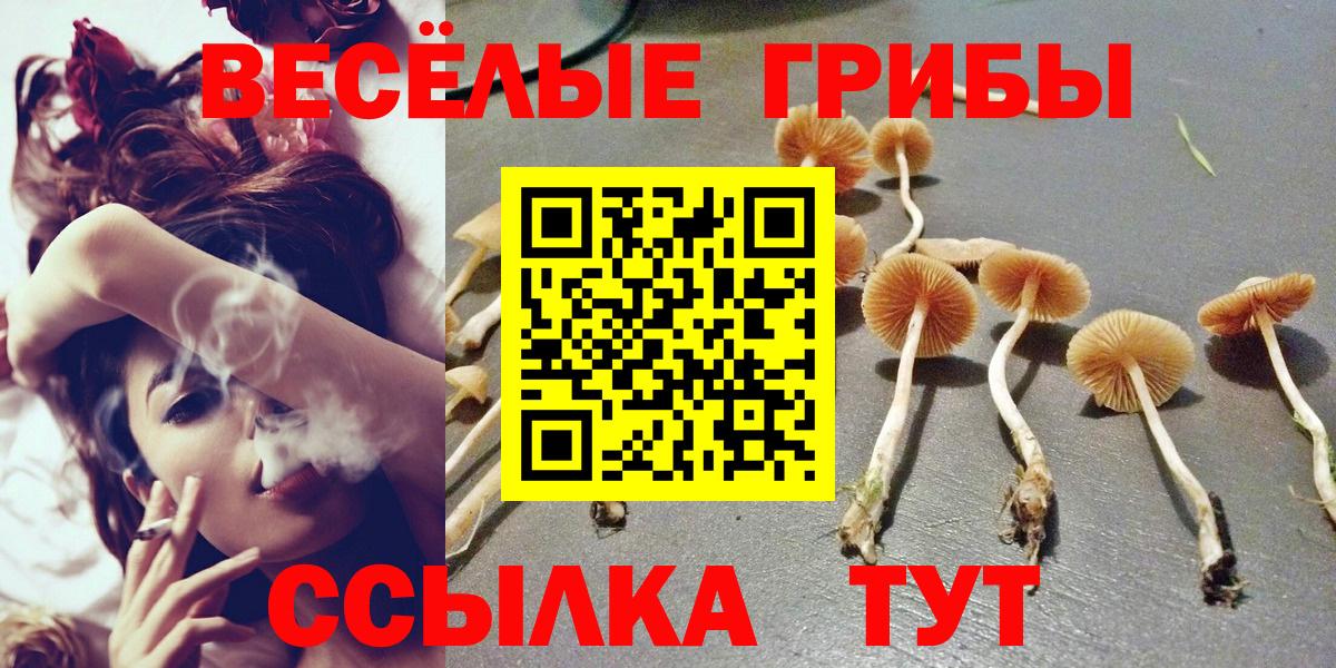 Кашира  Галлюциногенные грибы мицелий  Вход с VPN  Галлюциногенные грибы ЛСД 